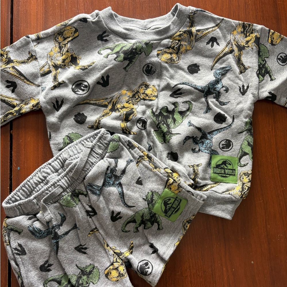 Jurassic Park comfy sweat suit